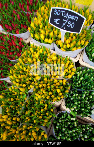 Bloemenmarkt Blumenmarkt, Amsterdam, Niederlande Stockfoto