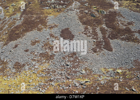 Steilen Geröll Pisten mit Patches Gras und Heide im Winter, in der Nähe von Mahon Falls, Comeragh Mountains, Grafschaft Waterford, Irland Stockfoto