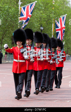 Irish Guards marschieren entlang der Mall, London, England, Vereinigtes Königreich Stockfoto