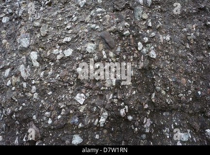 Detail von Devon Old-Red-Sandsteins Kiesel Konglomerat Boulder in der Nähe von Mahon Falls, Comeragh Mountains, Grafschaft Waterford, Irland Stockfoto