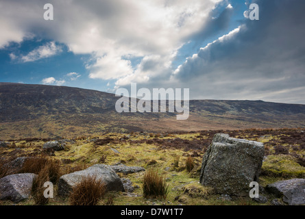 Devon fluviale Konglomerat Felsbrocken (Old-Red-Sandsteins) in der Nähe von Mahon Falls, Comeragh Mountains, Grafschaft Waterford, Irland Stockfoto