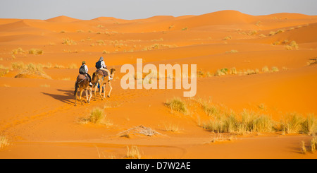 Touristischen paar auf einen Kamelritt in Erg Chebbi Wüste, Sahara Wüste in der Nähe von Merzouga, Marokko, Nordafrika Stockfoto