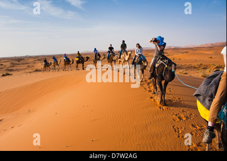 Touristen auf einem Kamel reiten in Erg Chebbi Wüste, Sahara Wüste in der Nähe von Merzouga, Marokko, Nordafrika Stockfoto
