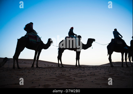 Touristen, die Silhouette auf einem Kamel zu reiten, bei Nacht, Erg Chebbi Wüste Sahara Wüste in der Nähe von Merzouga, Marokko, Nordafrika Stockfoto