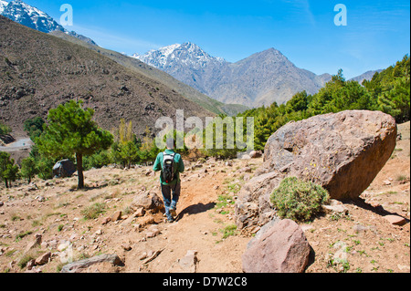 Reiseleiter, trekking im Imlil-Tal auf dem Weg von Tizi n Tamatert in Imlil, hoher Atlas, Marokko, Nordafrika Stockfoto