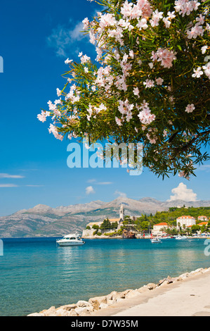 Franziskanerkloster, Insel Lopud, Elafiti Inseln (Elaphiten), Dalmatien, Adria, Kroatien Stockfoto