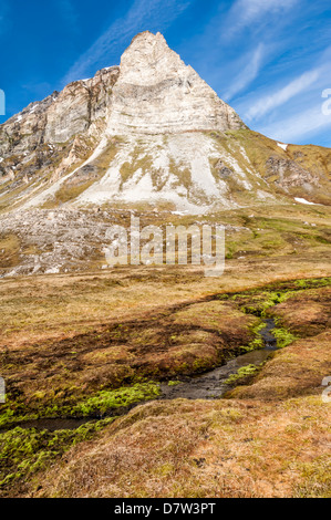 Alkehornet, Spitzbergen Westküste, Svalbard-Archipel, Norwegen, Scandinavia Stockfoto