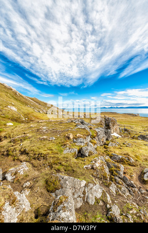 Alkehornet, Spitzbergen Westküste, Svalbard-Archipel, Norwegen, Scandinavia Stockfoto