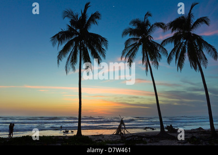 Palmen am Sonnenuntergang am Playa Guiones Surfstrand bei Sonnenuntergang, Nosara, Nicoya Halbinsel, Provinz Guanacaste, Costa Rica Stockfoto