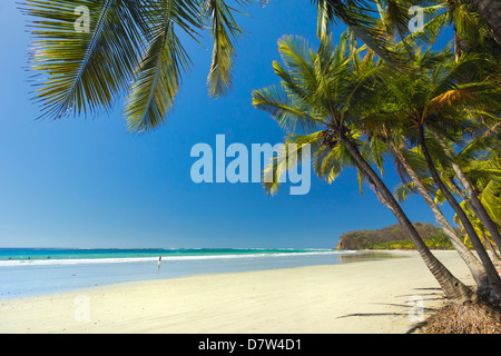 Die weißen palmengesäumten Sandstrand auf dieser entspannten Dorf & Resort; Samara, Provinz Guanacaste, Halbinsel Nicoya, Costa Rica Stockfoto