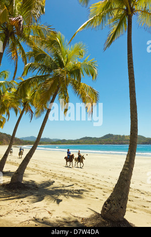 Reiter auf schönen Palmen gesäumten Playa Carrillo, Carrillo, in der Nähe von Samara, Provinz Guanacaste, Halbinsel Nicoya, Costa Rica Stockfoto