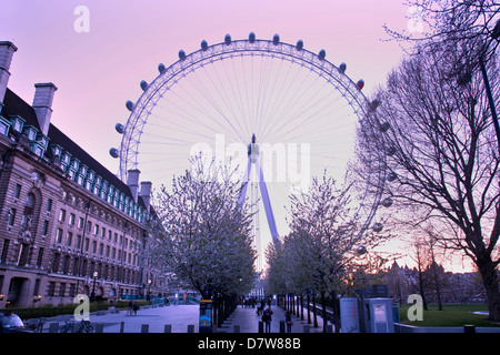Das EDF Energy London Eye, London, England Stockfoto