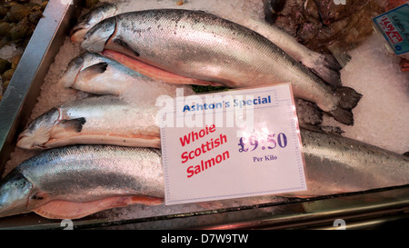 Ganzer schottischer Lachs zum Verkauf an Ashtons Fisch stall Cardiff Markt Wales UK KATHY DEWITT Stockfoto