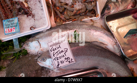 Frischer Fjord Forellen zum Verkauf an Ashtons Fisch stall in Cardiff Markt, Stadtzentrum von Cardiff, Wales, UK Stockfoto