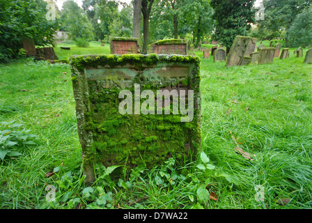 Moosigen hebräische Schrift auf einem Grab in einem verwilderten Friedhof Stockfoto