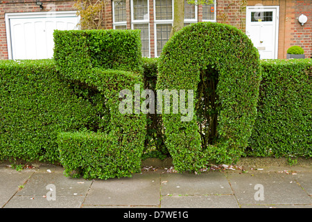 Ein Busch in der Form der Zahl 50 schneiden. Stockfoto