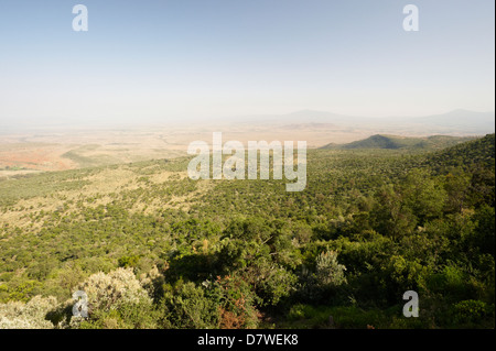 Great Rift Valley, Mount Longonot Nationalpark, Nakuru, Kenia Stockfoto