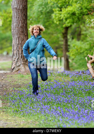 Eine Frau, die zu Fuß durch Bluebell Wald in Pulborough Brooks Nature Reserve West Sussex UK Stockfoto