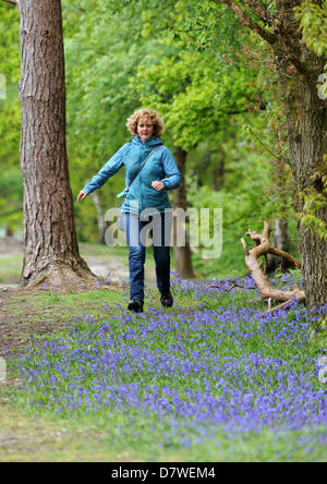 Eine Frau, die zu Fuß durch Bluebell Wald in Pulborough Brooks Nature Reserve West Sussex UK Stockfoto