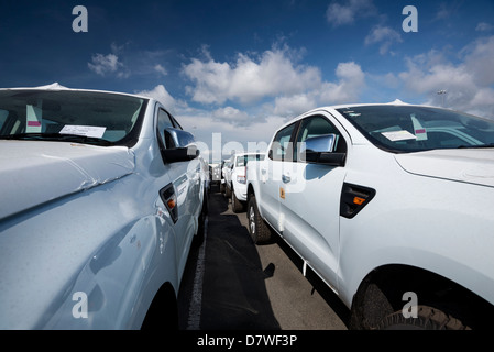 Parkplatz voll von neuen Pick-up-truck Stockfoto