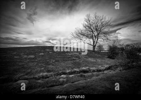 Dramatische Landschaftsbild von einem ominösen Himmel hinter einem kleinen Hügel mit einem einzigen, blattlosen Baum, gedreht in schwarz und weiß. Stockfoto