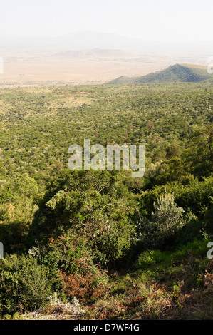 Great Rift Valley, Mount Longonot Nationalpark, Nakuru, Kenia Stockfoto