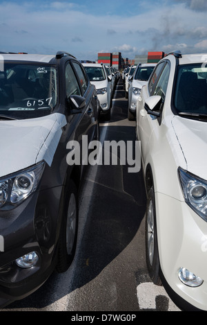 Parkplatz voll von neuen Pick-up-truck Stockfoto