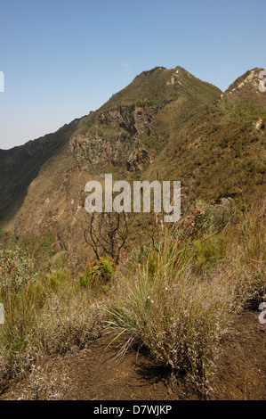 Stratovulkan Kraterrand, Mount Longonot Nationalpark, Nakuru, Kenia Stockfoto