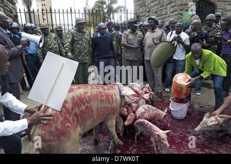 Nairobi, Kenia. 14. Mai 2013. Kenianische Polizisten beobachten, wie Demonstranten ca. 20 Ferkel und ein Schwein lassen, und Blut von Tieren, vor den Toren des Parlaments zu vergießen. Dies geschah zum ausdrücklichen Zorn an neu gewählte Mitglieder des Parlaments (MPs) fordern höhere Löhne. Die Demonstration in Rechnung gestellt als '' besetzen Parlament '' wurde von zivilgesellschaftlichen Gruppen organisiert und MPs als gierig zu porträtieren soll. (Bild Kredit: Kredit: Ric Francis/ZUMAPRESS.com/Alamy Live-Nachrichten) Stockfoto