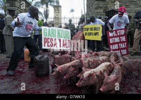 Nairobi, Kenia. 14. Mai 2013. Demonstranten erschienen ca. 20 Ferkel und ein Schwein und verschüttete Blut von Tieren, vor den Toren des Parlaments. Dies geschah zum ausdrücklichen Zorn an neu gewählte Mitglieder des Parlaments (MPs) fordern höhere Löhne. Die Demonstration in Rechnung gestellt als '' besetzen Parlament '' wurde von zivilgesellschaftlichen Gruppen organisiert und MPs als gierig zu porträtieren soll. (Bild Kredit: Kredit: Ric Francis/ZUMAPRESS.com/Alamy Live-Nachrichten) Stockfoto