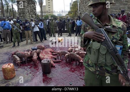 Nairobi, Kenia. 14. Mai 2013. Polizei blockieren Demonstranten von den Toren des Parlaments, nachdem sie etwa 20 Ferkel, ein Schwein und vergossenes Blut von Tieren veröffentlicht. Dies geschah zum ausdrücklichen Zorn an neu gewählte Mitglieder des Parlaments (MPs) fordern höhere Löhne. Die Demonstration in Rechnung gestellt als '' besetzen Parlament '' wurde von zivilgesellschaftlichen Gruppen organisiert und MPs als gierig zu porträtieren soll. (Bild Kredit: Kredit: Ric Francis/ZUMAPRESS.com/Alamy Live-Nachrichten) Stockfoto