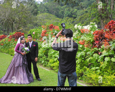 Asien Malaysia Penang Botanischer Garten Stockfoto