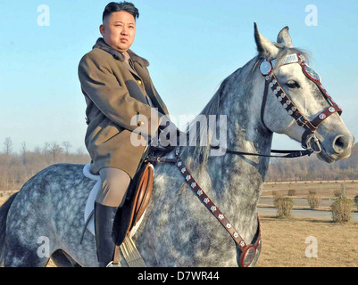 KIM JONG-un oberste Führer der Demokratischen Volksrepublik Korea im Jahr 2013 Stockfoto