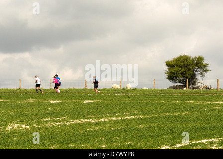 Läufer auf die drei Festungen Herausforderung auf dem Weg zur Chanctonbury Ring in West Sussex. Stockfoto