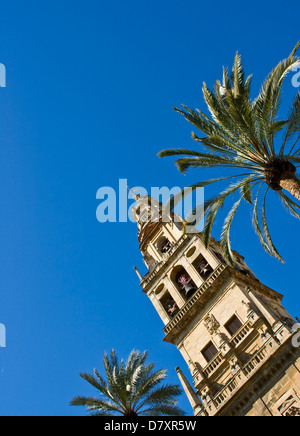 Torre Del Alminar Bell Tower Mezquita-Moschee-Kathedrale zum UNESCO-Weltkulturerbe Cordoba Andalusien Andalusien Spanien Europa Stockfoto