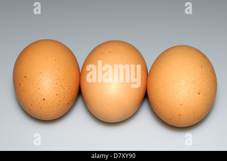 Nahaufnahme von Bio-Hühner-Eiern Stockfoto