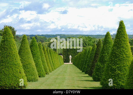 konische Hecken Linien und Rasen, Schloss Versailles, Frankreich Stockfoto