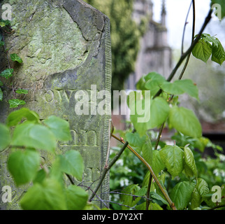 Überwucherten Grabstein im Friedhof Stockfoto