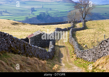 Wanderer auf Spur von Catrigg Kraft, Stainforth Dorf, Ribblesdale, Yorkshire Dales National Park, Yorkshire, England, UK Stockfoto