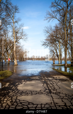 Rock River überläuft und Überschwemmungen einen park Stockfoto