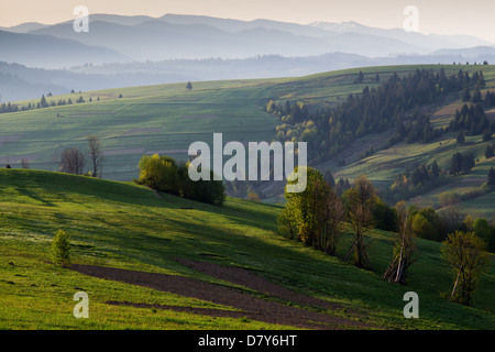 Frühling am Morgen ländlichen Landschaft in den Karpaten. Die Strahlen der Sonne beleuchten die bunten Hügel Stockfoto