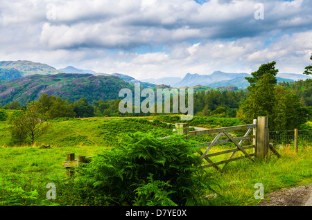 Sommer auf Holme Fell und Langdale Pikes in der Nähe von Coniston im Lake District, Cumbria, England. Stockfoto