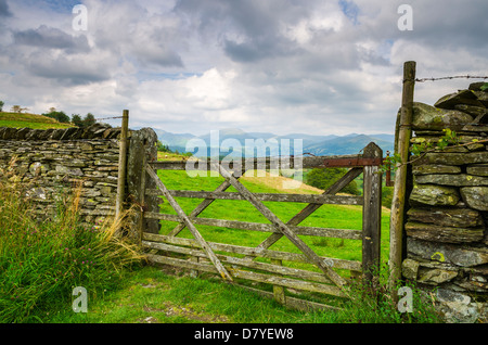 Holz-Hof in einer Steinmauer in der Nähe von Knipe Falte in der Seenplatte, Cumbria, England. Stockfoto