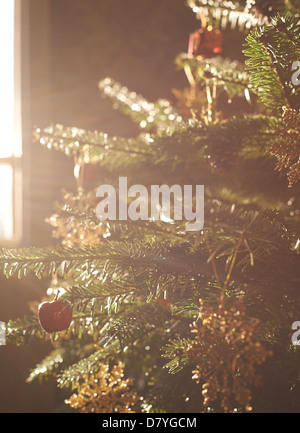 Nahaufnahme von geschmückter Weihnachtsbaum Stockfoto