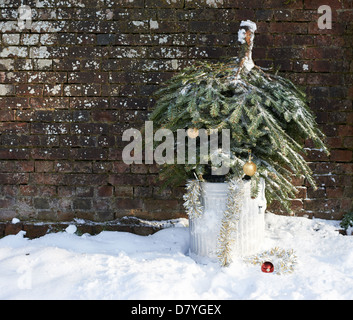 Weihnachtsbaum im Papierkorb können im freien Stockfoto