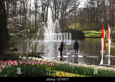 Frühlingsblumen, Teich, Schwänen und Brunnen in Keukenhof Gärten im Frühjahr mit dem Besuch der Touristen Stockfoto