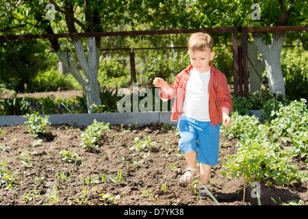 Foto von einem niedlichen Kind im Garten spazieren. Stockfoto