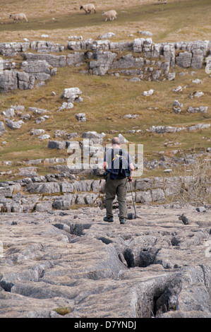 Mann (+ Rucksack) zu Fuß auf die Berggebiete limestone Pavement, spektakulären, natürlichen Funktion an der Spitze der Malham Cove - Malhamdale, Yorkshire Dales, England, UK. Stockfoto