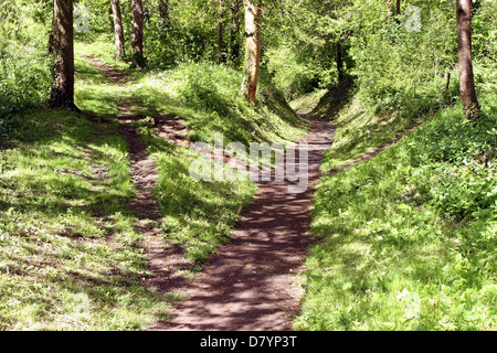 Sehr ländlichen Weg durch den Wald in Almondsbury, South Gloucester, Mai 2013 Stockfoto