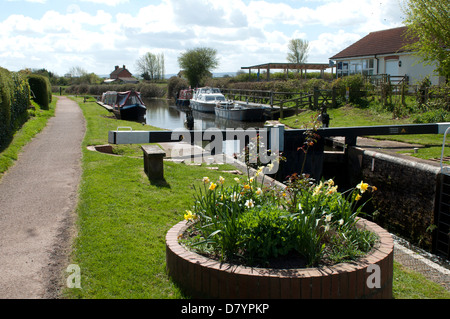 Bridgwater und Taunton Kanal bei niedrigeren Maunsel, Somerset, England, UK Stockfoto